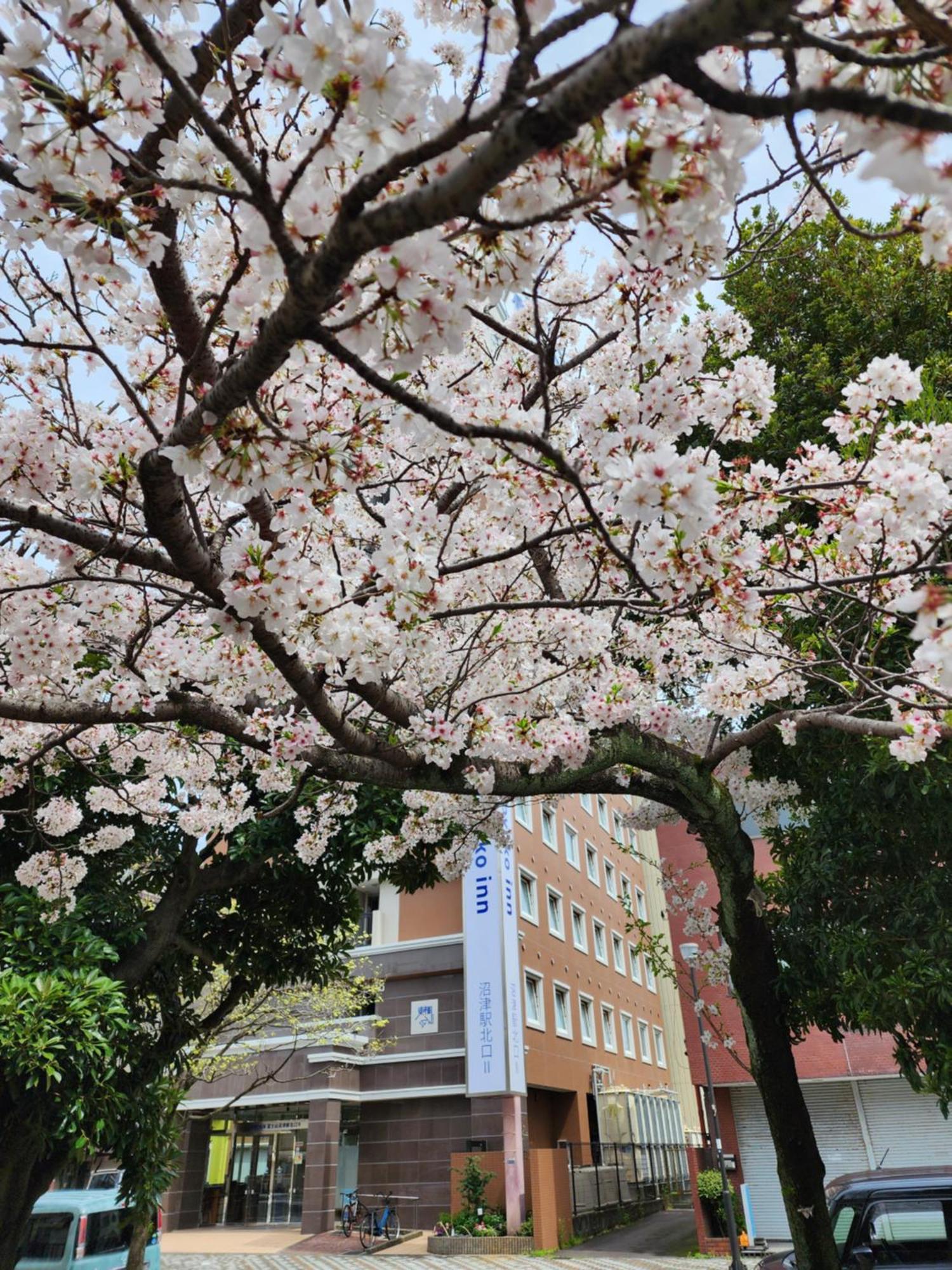 Toyoko Inn Fujisan Numazu eki Kita guchi No 2 Eksteriør billede